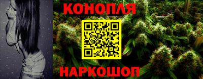 apvp Тулун