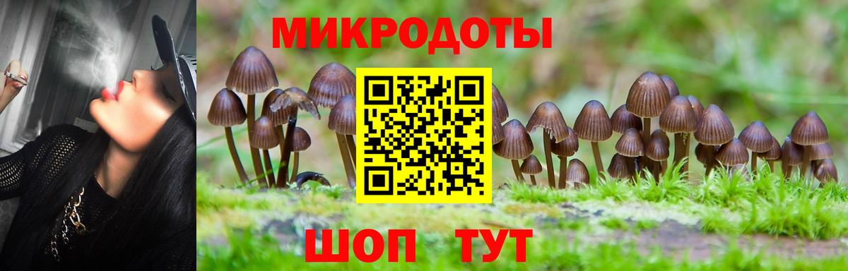 где купить наркоту  Вход с VPN  Нефтеюганск  Псилоцибиновые грибы мухоморы 